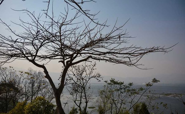 Madhya Pradesh Scraps Bhopal Housing Plan That Proposed Cutting 27,000 Trees