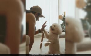 Read more about the article In Kartik Aaryan’s New Post With Pet Katori, Will The Real “Champion” Please Stand Up?