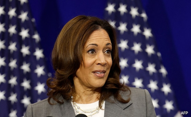 Could Kamala Harris Beat Donald Trump If Joe Biden Drops Out? What Opinion Polls Say