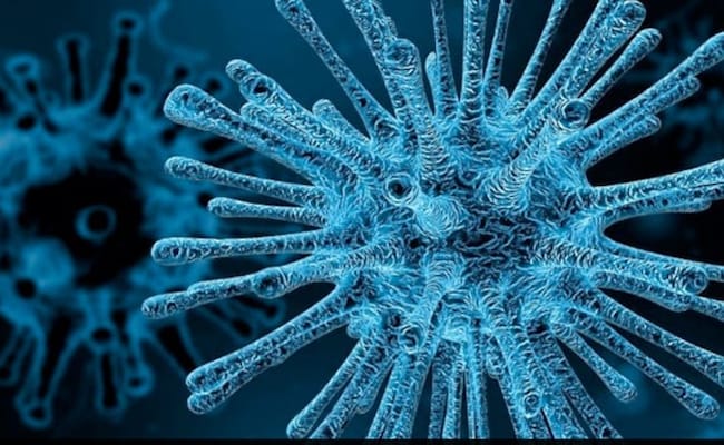 5 Die Of Chandipura Virus, 13 New Suspected Cases Reported In Gujarat Today