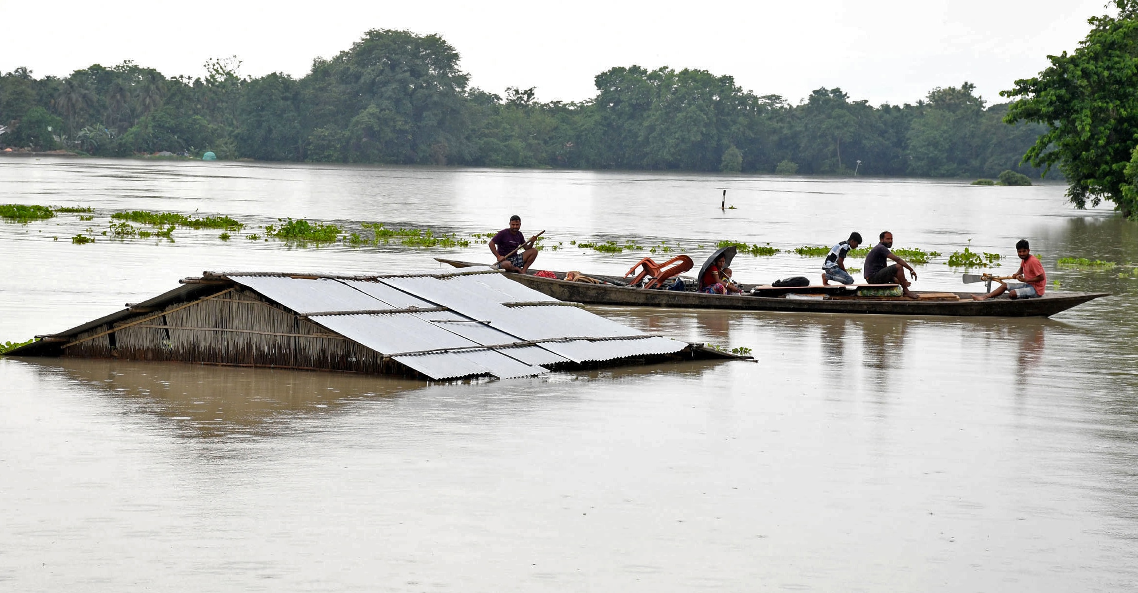 Read more about the article 7 More Dead In Flood-Related Incidents In Assam, Death Count Touches 90