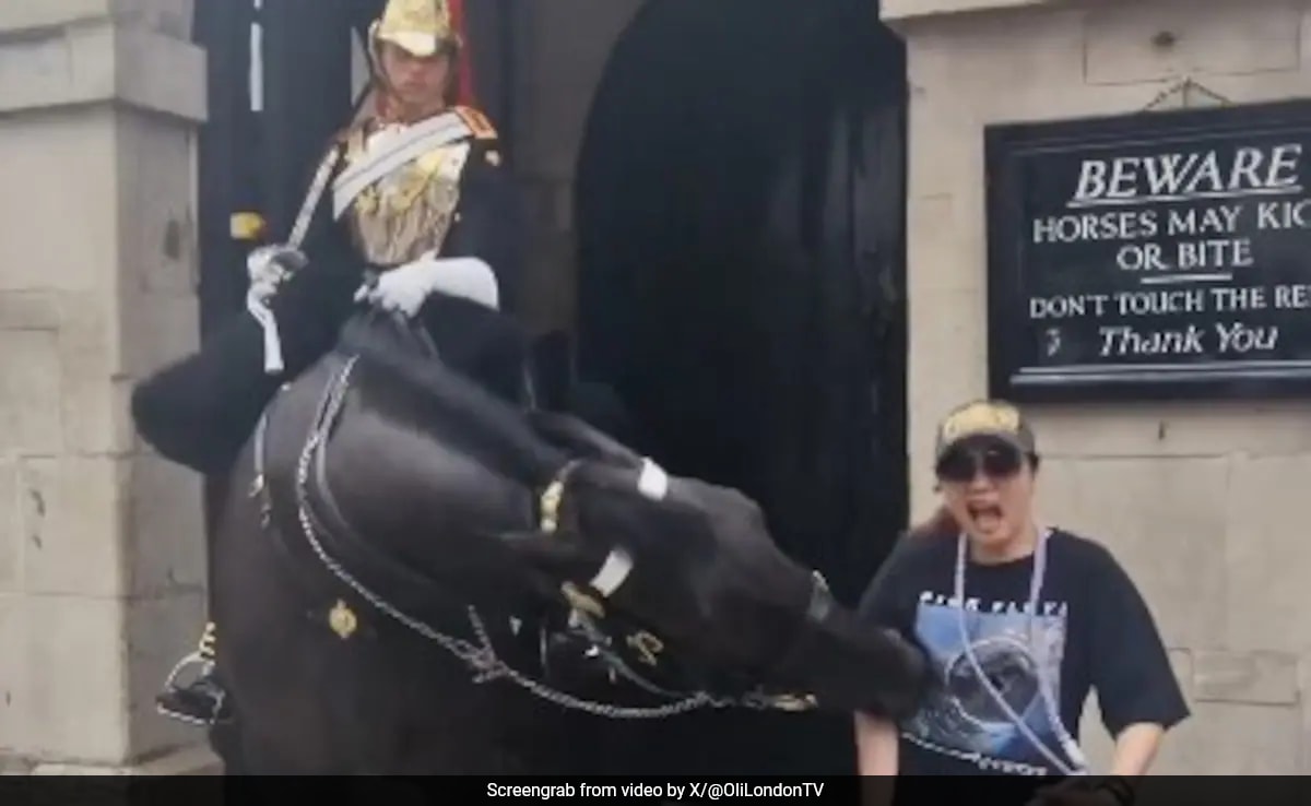 Video: Tourist Faints After King's Guard Horse In UK Bites Her While Posing For Pic