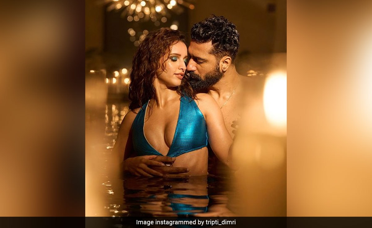 Triptii Dimri Is All Set To Become Your Jaanam In A Blue Cutout Swimsuit