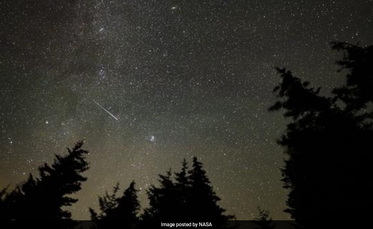 Two Meteor Showers Are Set To Light Up Night Skies This Month