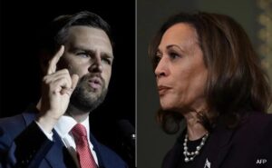 Read more about the article ‘Cat Ladies’ Unite Against JD Vance’s Sexist Remark For Kamala Harris