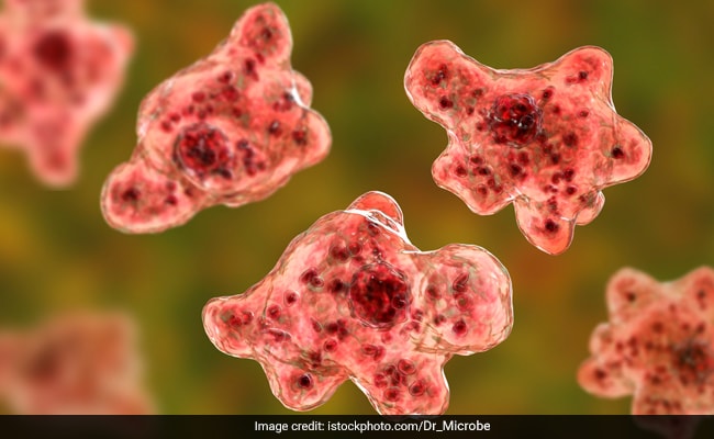 Brain-Eating Amoeba In Kerala: Latest News, Signs, Treatment, Prevention & More