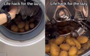 Read more about the article Vlogger Shares “Life Hack” To Clean Potatoes In Washing Machine, Internet Disapproves