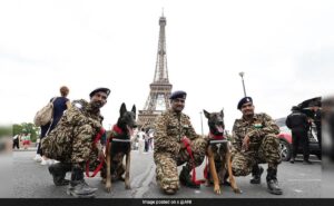 Read more about the article India’s Elite Dog Squad K9 Units To Heighten Security At Paris Olympics