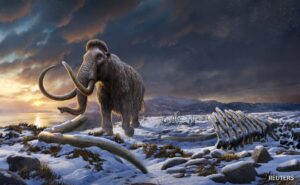 Read more about the article Woolly Mammoth DNA, Frozen 52,000 Years, Ago May Be Used To Revive Species