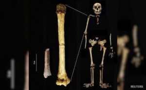 Read more about the article Discovery Of Tiny Arm Bone Sheds Light On Mysterious ”Hobbit” Humans