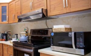 Read more about the article Microbes Have Adapted To Microwave Ovens, Finds Study. How To Disinfect.