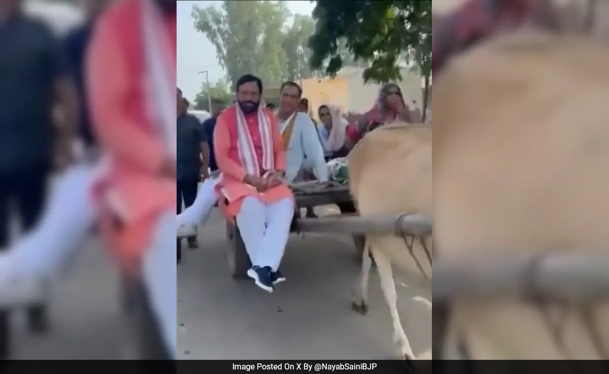 Haryana Chief Minister Rides Bullock Cart To Reach Meeting Venue During Campaigning