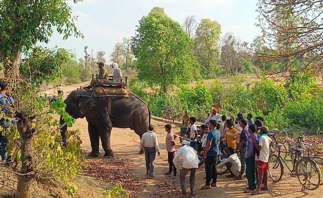 Madhya Pradesh Panels For Tribal Welfare, Eco-Conservation Hit Funds Wall