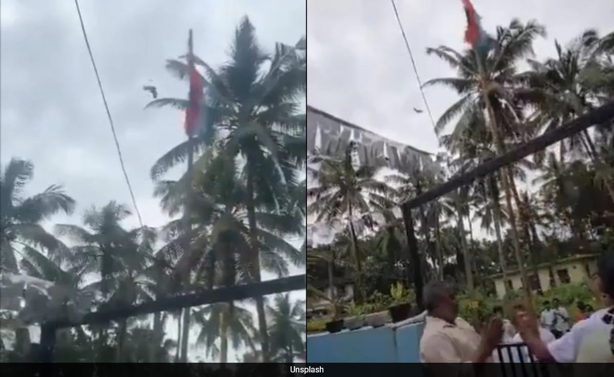 Viral Video: Bird 'Unfurls' National Flag In Kerala, Here's What Really Happened