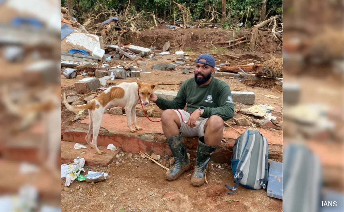 Pet Dog Reunites With Owner After 6 Days Due To Deadly Wayanad Landslide