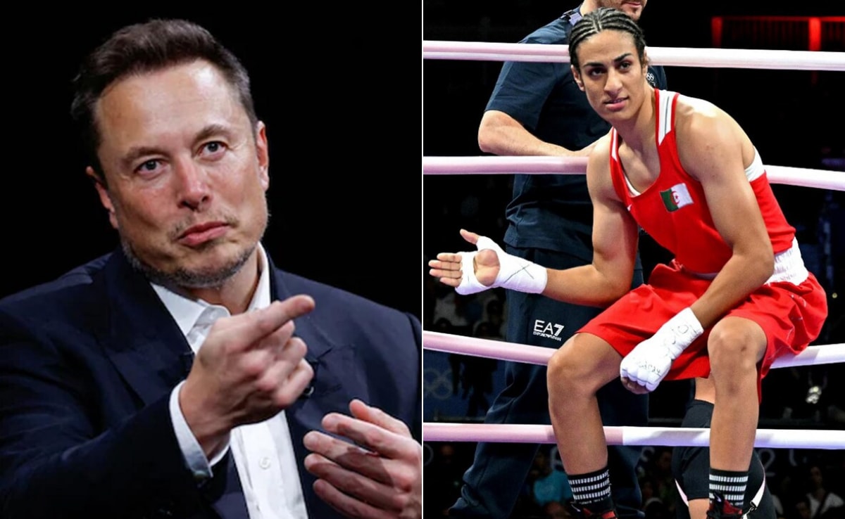 Read more about the article Elon Musk Shares “Men Don’t Belong In Women’s Sports” Post Amid Gender Row