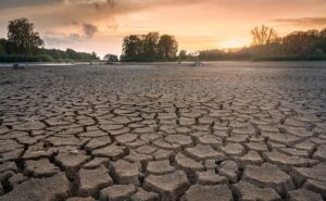 Read more about the article Nearly 70 Million Suffering From Drought In Southern Africa: Report