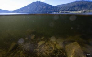 Read more about the article French Lake Still Riddled With Bombs 80 Years After World War II