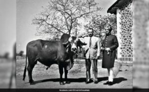 Read more about the article How India’s ‘Krishna’ Bull Revolutionised Brazil’s Dairy Industry