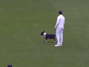 Read more about the article Dog Invades Pitch To Halt Durham vs Kent Match, Commentators In Splits. Watch