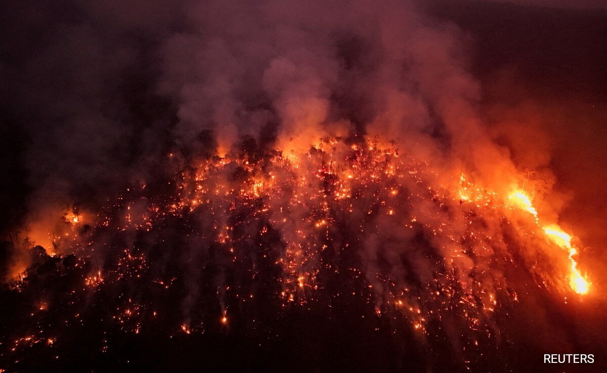 Pics: A Continent Ablaze - South America Surpasses Record For Forest Fires