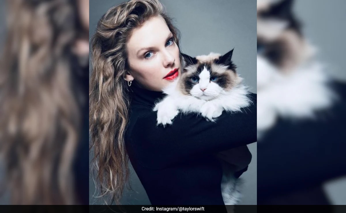 Read more about the article Backing Kamala Harris, Taylor Swift Calls Herself Childless Cat Lady