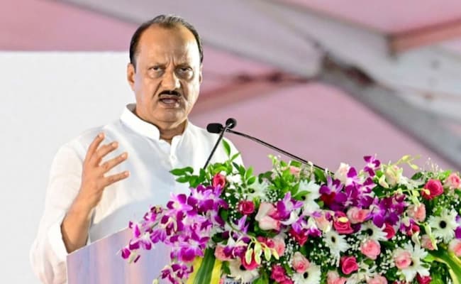 'Society Never Accepts...': Ajit Pawar On Fielding Wife Against Cousin In Lok Sabha Polls