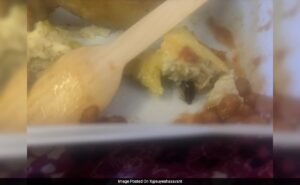 Read more about the article Air India Passenger Finds Cockroach In Food On Delhi-New York Flight, Airline Responds