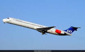 Read more about the article Scandinavian Airlines Flight Makes Emergency Landing After Live Mouse Found In Meal