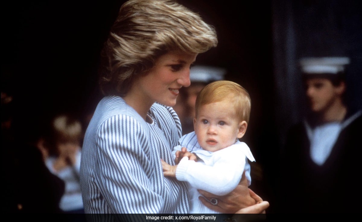 Read more about the article New Revelations About Princess Diana, Rumours On Harry’s “Biological Father”