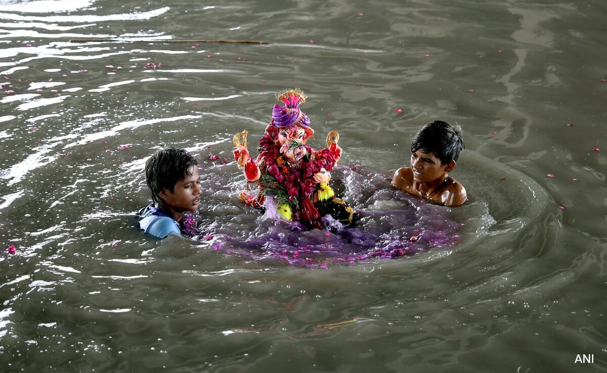 Delhi Pollution Body Bans Idol Immersion In Water Bodies Ahead Of Festivals