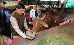 Read more about the article Dairy Agreement Next Flashpoint Between Congress, BJP In Madhya Pradesh