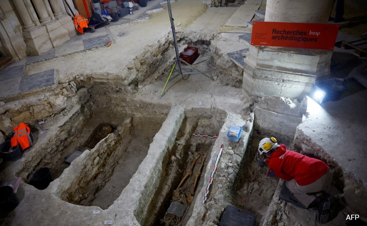 Read more about the article An Excavation May Solve Centuries-Old Mystery At Notre Dame In Paris