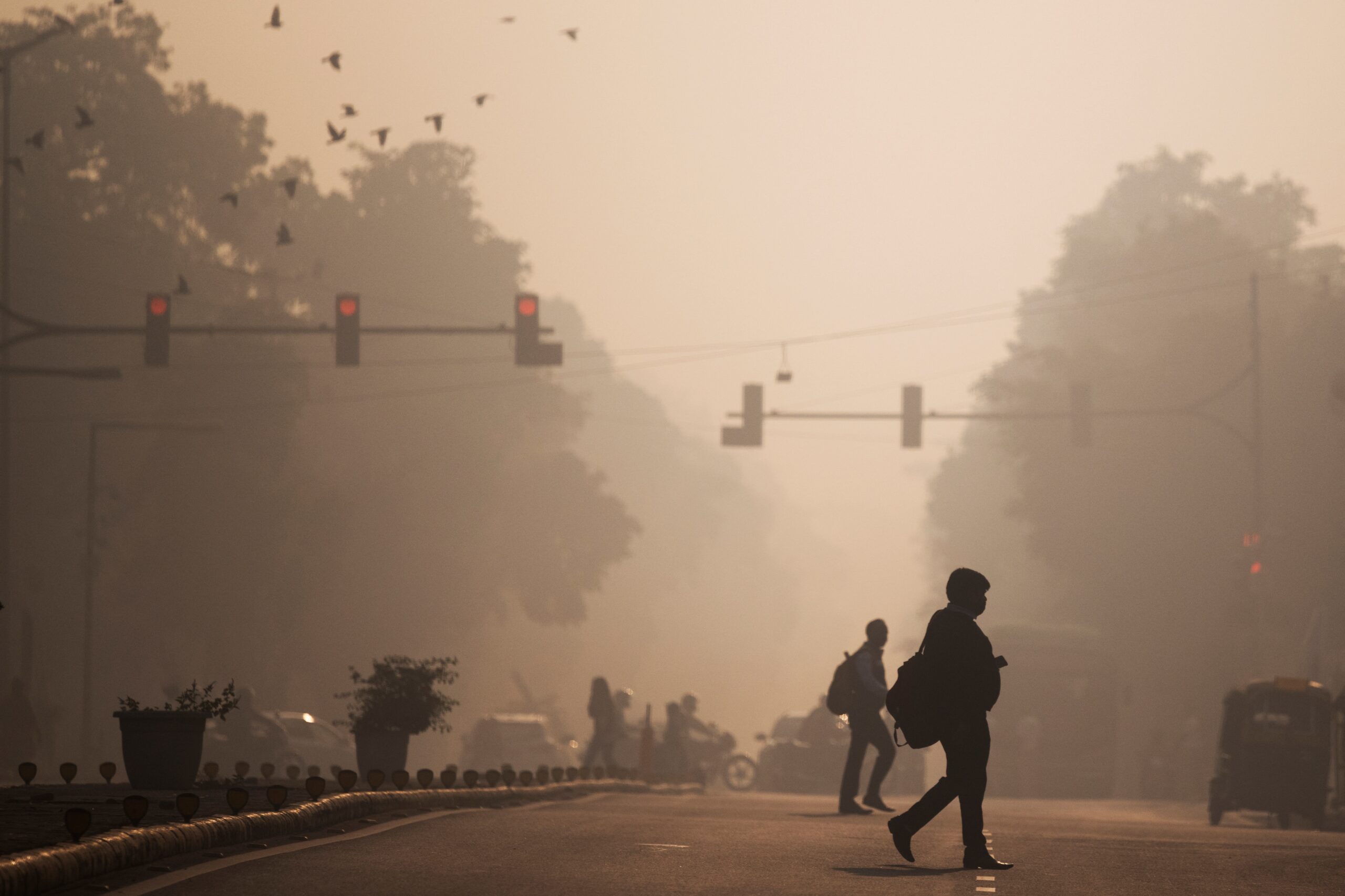 Anti-Dust Campaign, 14-Point Construction Guidelines To Tackle Delhi Air Pollution