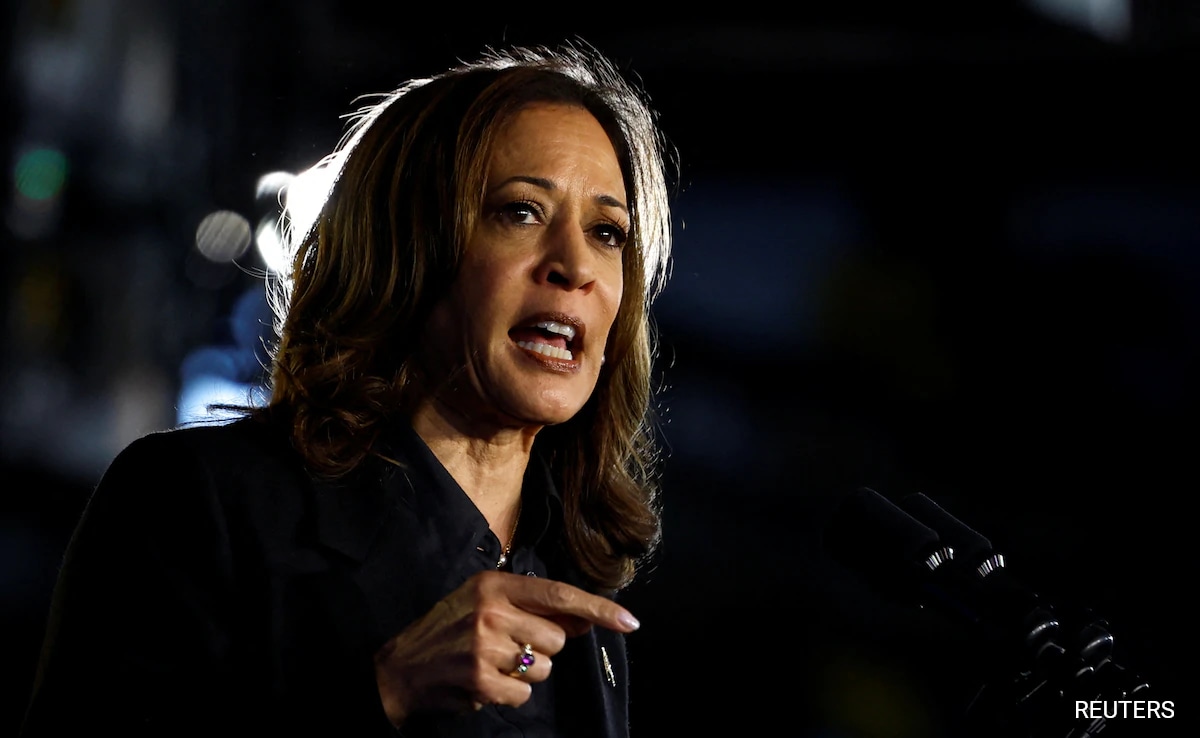 Read more about the article Harris Campaign Spends Final Hours Reminding Pennsylvania Of Trump Ally’s Joke About Puerto Rico