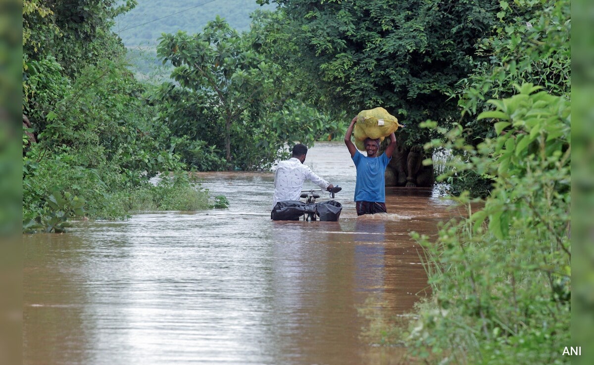 Over 11,000 People Evacuated As Odisha Flood Situation Remains Grim