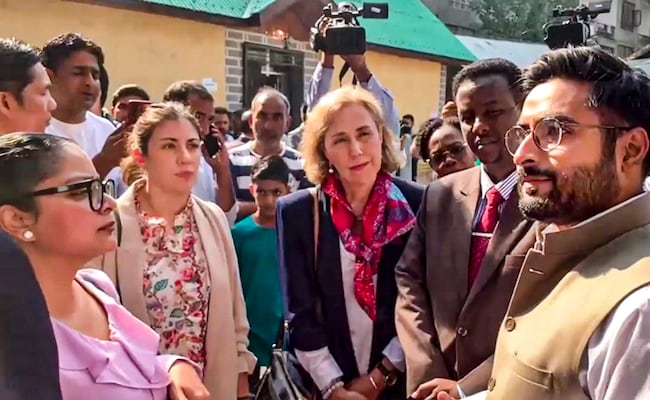 Read more about the article 15 Foreign Diplomats In Kashmir To Observe Polling Process