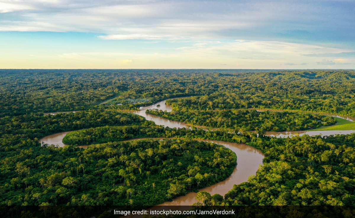 Indigenous Groups In Brazil On Government Selling Carbon Credits