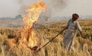 Read more about the article 192 Farmers Charged For Stubble Burning In Haryana