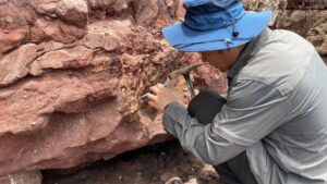 Read more about the article Historic Dinosaur Fossil Discovered in Hong Kong’s UNESCO Geopark