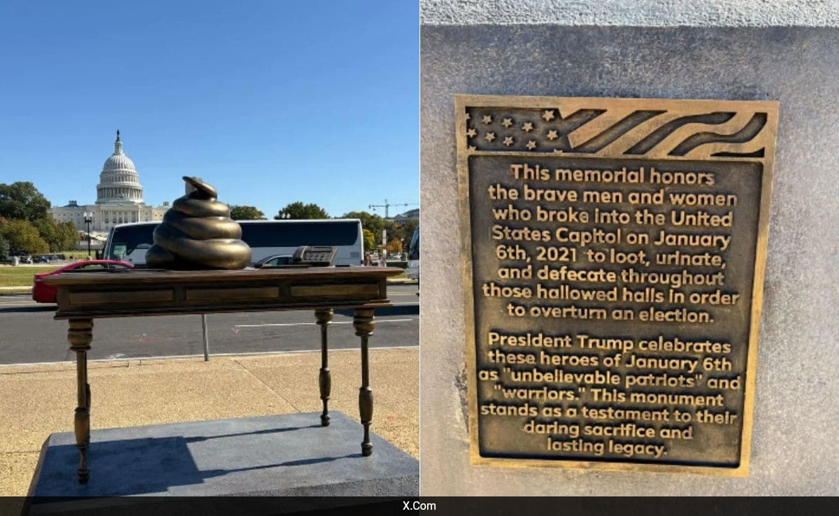 Read more about the article Controversial Poop Statue Near US Capitol Stirs Debate Over January 6 Riots