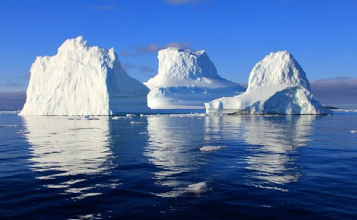 How A Melting Iceberg Is Reshaping Marine Ecosystems