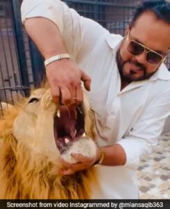 Read more about the article Viral Video Showing Pakistani Man Opening Lion’s Jaws Sparks Outrage Online