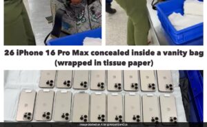 Read more about the article Delhi Customs Officials Seize 26 iPhone 16 Pro Max From Passenger At Airport