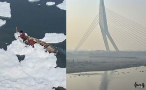 Read more about the article Smog Engulfs Delhi-NCR, Toxic Foam Blankets Yamuna River As Winter Approaches