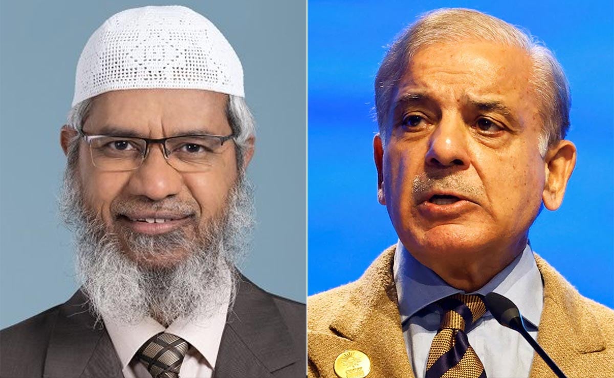 Read more about the article Fugitive Hate Preacher Zakir Naik Meets Pakistani PM Shehbaz Sharif