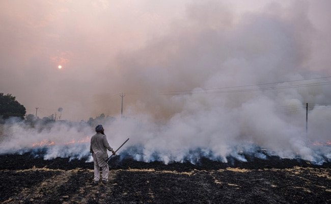 Read more about the article UP Pollution Official On Toxic Air Choking Noida