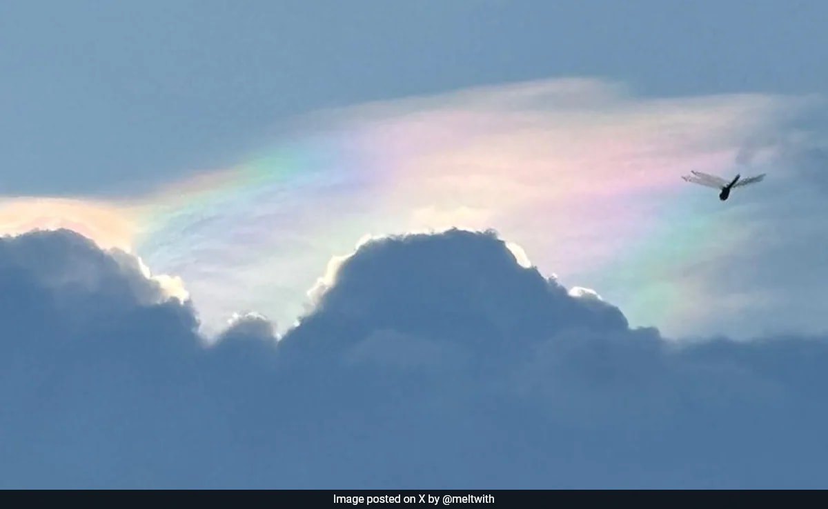 Rare Comet Illuminates Bengaluru Skies In Hues Of Pink, Green And Yellow