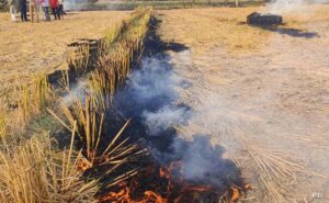 Read more about the article Punjab Reports 587 Farm Fires Today, Highest Single-Day Spike This Season