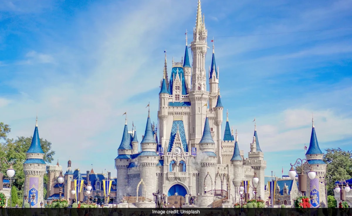 Read more about the article US Couple Takes 31 Trips To Disney World After Stealing Over Rs 4 Crore From Government